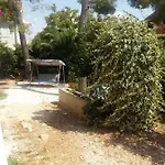 Manda Ljubetic Daire *