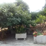 Manda Ljubetic Daire Sutivan