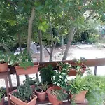 Daire Manda Ljubetic Sutivan