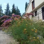 Manda Ljubetic Daire