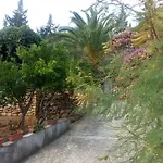 Manda Ljubetic Daire *