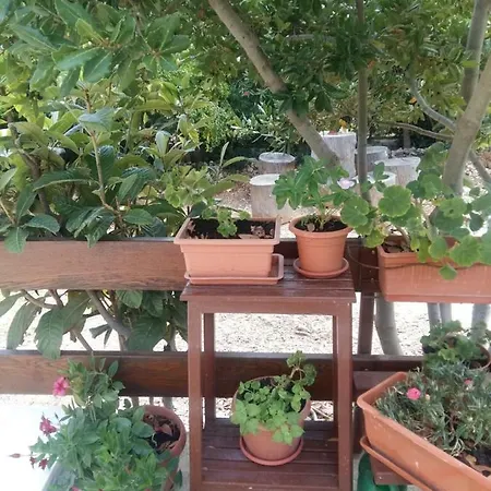 Manda Ljubetic Apartman