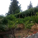 Manda Ljubetic Apartman Sutivan
