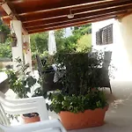 Manda Ljubetic Sutivan