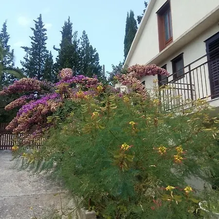 Manda Ljubetic Apartment