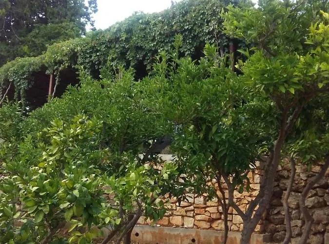 Manda Ljubetic Apartmán Sutivan