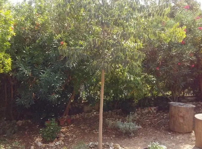 Apartmán Manda Ljubetic Sutivan