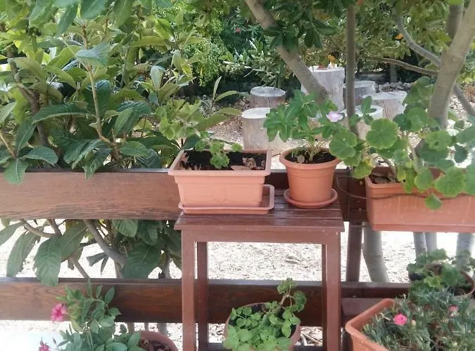 Manda Ljubetic Apartmán