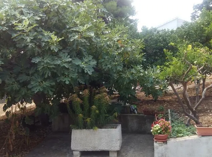 Manda Ljubetic Apartman Sutivan