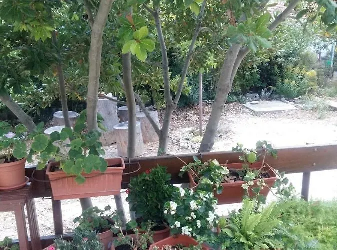 Apartman Manda Ljubetic Sutivan